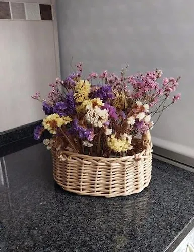 Apartament Guiki House